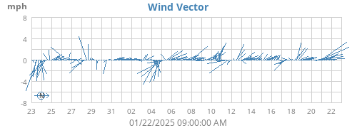 Wind Vector